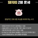 2월 닭띠 개띠 돼지띠 운세 이미지