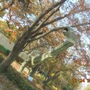 창조자연사박물관 이미지