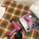 화이트파크 이미지