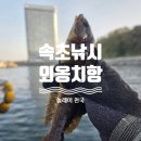 스타트포인트 | 속초 외옹치항 낚시 포인트 대공개! 넣자마자 3초 입질 놀래미 풍년