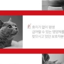 메디코 네이버블로그