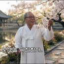 여든의 청춘, 인생을 예찬한다. 이미지