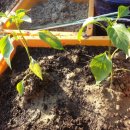 청조환경(주) 이미지