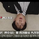 법률사무소데이터로