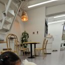 스카이캣명동2호점 이미지