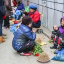 벌교5일시장 이미지