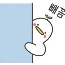 한국렌트카주식회사 이미지