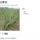 고소하고 바삭한 그래놀라와 견과류 솔솔 ~ 싱싱한 과일 듬뿍! 꿀, 아가베시럽, 그릭요거트 맛집 - 요지트