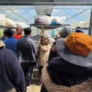 청봉농장 이미지