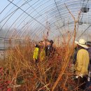 해피팜농장 이미지