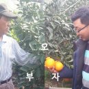 오부자농장 이미지