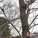 호두미디어 이미지