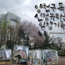시립목동청소년센터(건물뒤, 후문앞) | 양천구 목동 1 ~ 14단지 + 신정뉴타운 임장 기록