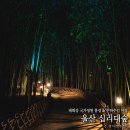십리대밭 산책로 화장실 | 울산 태화강 국가정원 십리대숲 십리대밭 울산 야경 추천