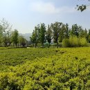 부산시민공원 이미지