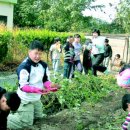 중앙초등학교화남분교 이미지