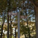 백석생활체육공원 리틀야구장 이미지