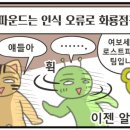 나비잠 - 3562 | 나비잠