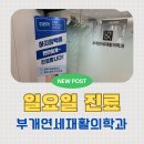 연세재활의학과의원 | 일요일에 진료받은 부개연세재활의학과, 교통사고 후 방문 후기