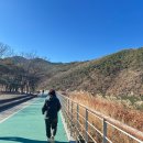 큰사랑요양병원 | 서울대병원 유방암 수술-포레스트 종로, 감꽃요양병원