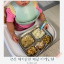 20개월 아기반찬 양산 수제 유아식 배달 워킹맘이라면 아가만찬