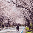 서시천자전거길2 이미지