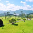 노벨CC골프연습장 이미지