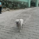 아미골협동조합 이미지