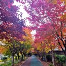 GS25 계림푸른길점 이미지