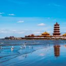 동양관광여행사 이미지