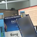 5월 일상(4) (행사시작 그리고 끝/송또솥/간장게장/나인퍼즐)