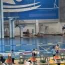 토이키즈 스윔클럽 이미지