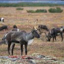 장가이미용실 이미지