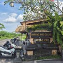 필승카서비스 | [발리 음식 추천] 빤데에기에서 맛본 우붓 바비굴링 맛집의 매력