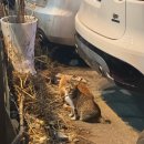 (주)다인파마 | 1월