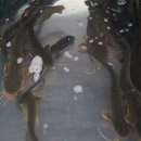 동산가든 이미지