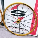 휠체어 타는 사람들 이미지