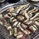 합천산곰장어산아나고 이미지