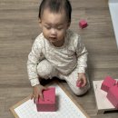 키즈오르다어린이집 | 30개월 아기 1년 반 동안의 키즈에이원 몬테소리 방문수업 후기 (까다로운 기질, 완벽주의 성향)