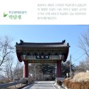버드나무수산 Daum카페
