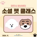 경주시청년센터 아리아리4기 위니의 청년고도 프로그램 안내 - 소셜 펫 클래스