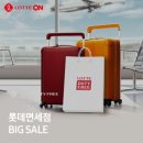 빅세일유통