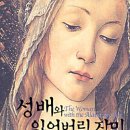 스타버드