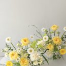 온화앤유 이미지