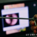 상쾌한이비인후과 앞 이미지