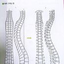 선화메디칼 이미지