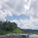 토종닭농장 이미지