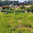 개군파출소 이미지