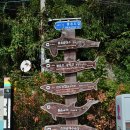 볼음도길 이미지