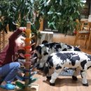 광화농장 이미지